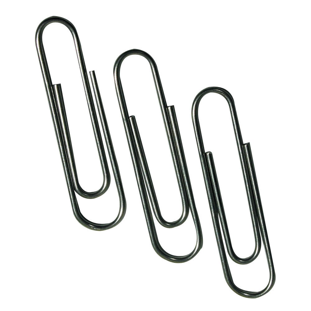 Stainless Steel Paper Clips | Carr McLean