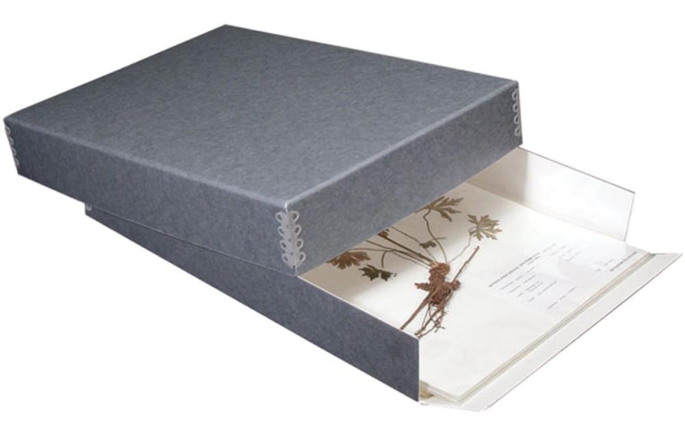 Herbarium Boxes