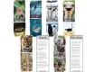 Fun Facts Bookmarks