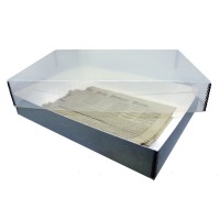 CARMAC® Newspaper Display Boxes with Clear Lids