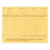 Visible File Periodical Record Checking Cards