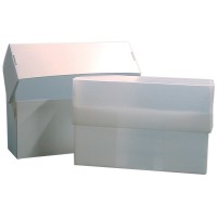 Coroplast® Document Storage Boxes