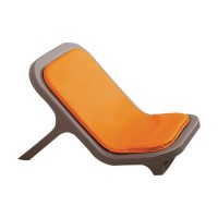 Floor Recliner with Cushion