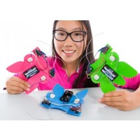 TeacherGeek® “Catch the Bug” Ultimate Electronics Activity Kit