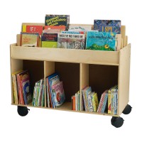 Whitney Brothers® Two-Sided Library Cart
