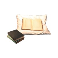 Book Display Pillows