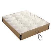 Partition Trays