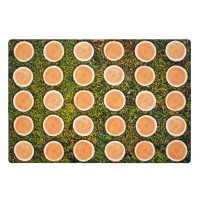 Carpets for Kids® Pixel Perfect Carpet Collection™ Tree Rounds Seating Rug 
